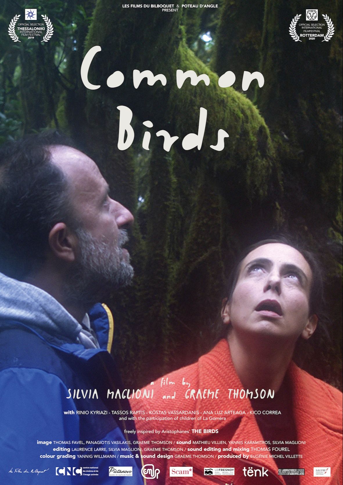 Common Birds Documentary Film Watch Online